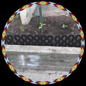 Meet your Posher, Denise jessica